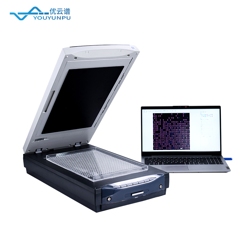 稻米品質(zhì)分析儀：科學(xué)評價(jià)稻米品質(zhì)的重要工具